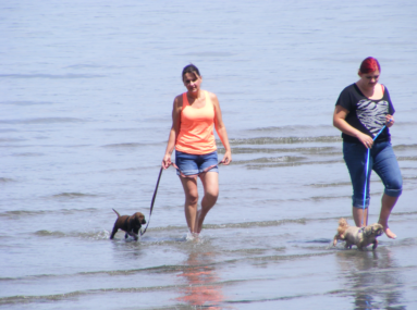 Picture of Trish, Cat's Sister from Seattle