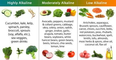 the alkaline diet