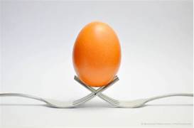 Egg and forks