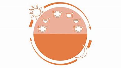 meal cycles in a day