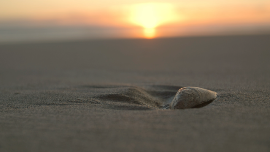 LES MILLS MINDFULNESS Mindfulness Of Breathing LES MILLS MINDFULNESS Mindfulness Of Breathing