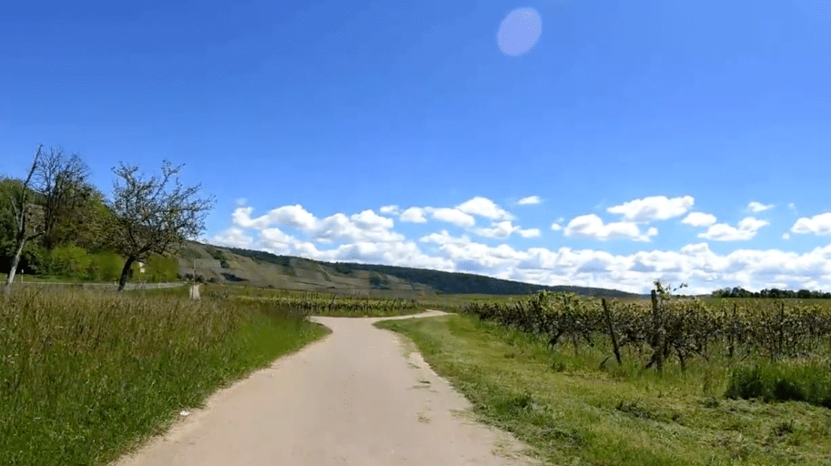 Mosel Fat-Burning Tour (45 Minutes) Mosel Fat-Burning Tour (45 Minutes)