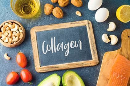 collagen sources