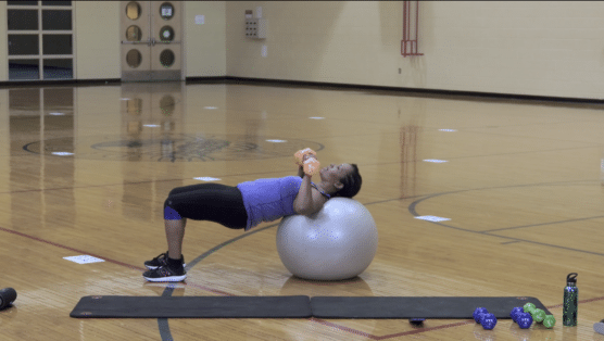 50-Minute Stability Ball Total Body Workout Nadene stability ball