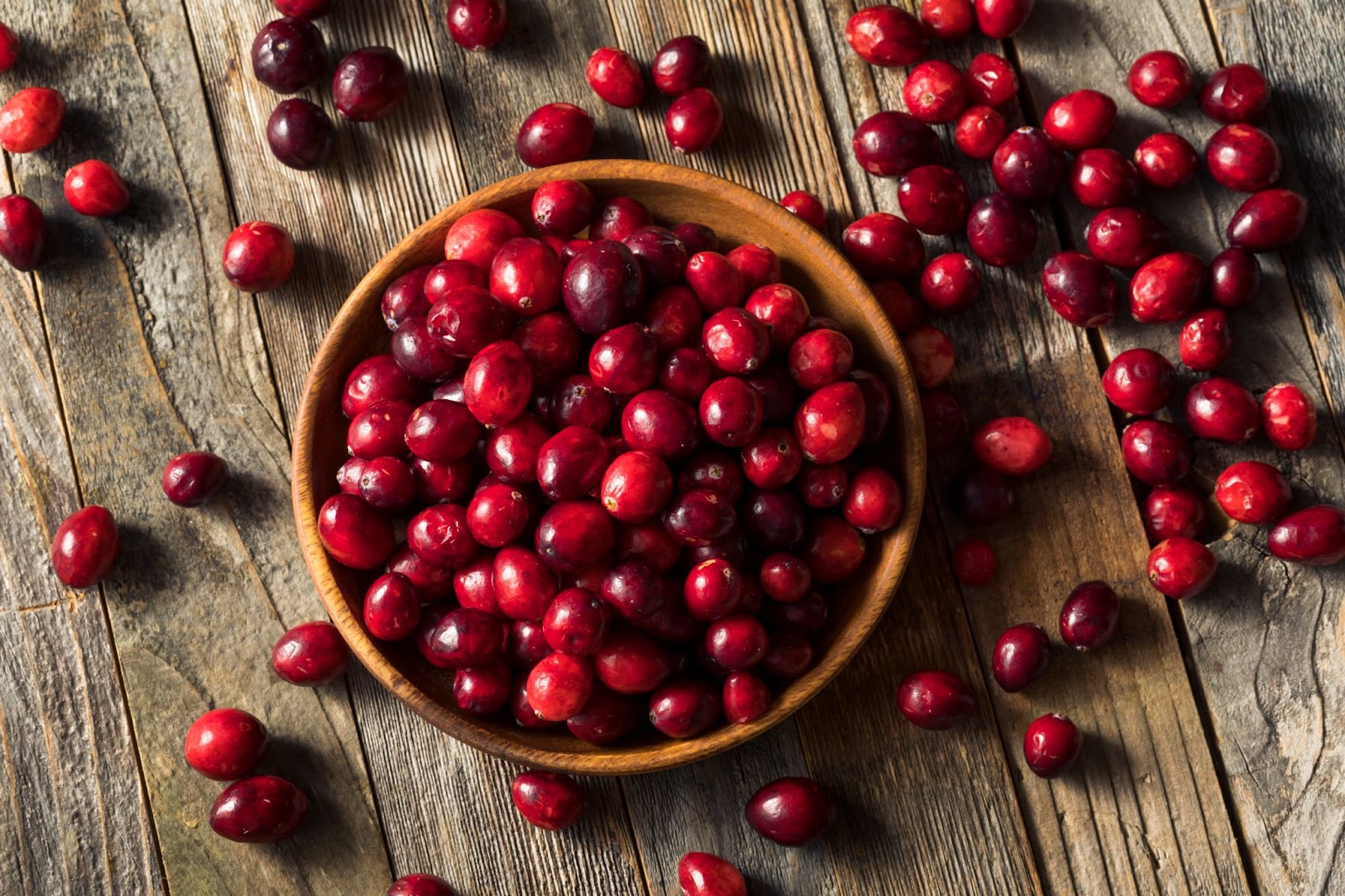 Red, full, ripe cranberries in a wooden bowl.