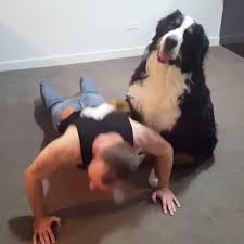 Person doing push ups with a dog resting on their back