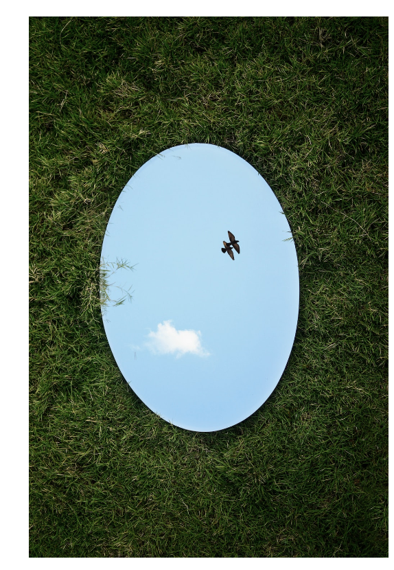 mirror on grass reflecting birds in the sky