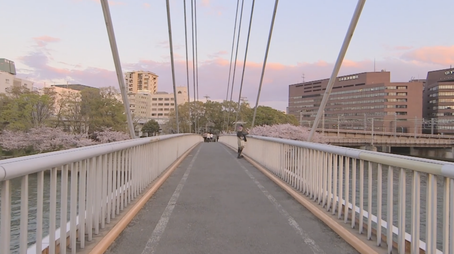 Cherry Blossom walk along the river