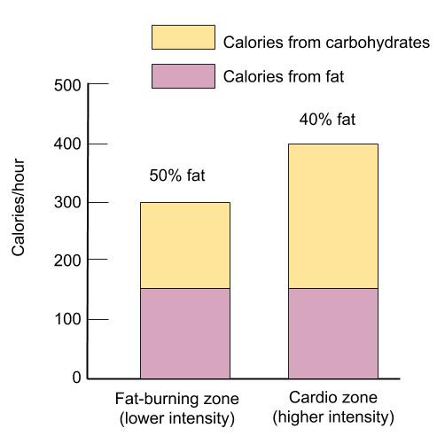 Graph showing the percentage of calories burned in lower intensity exercise vs higher intensity exercise