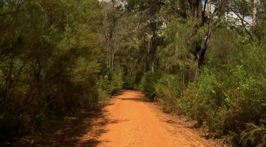 A Long Sunny Walk in a South Australian Forest CPC