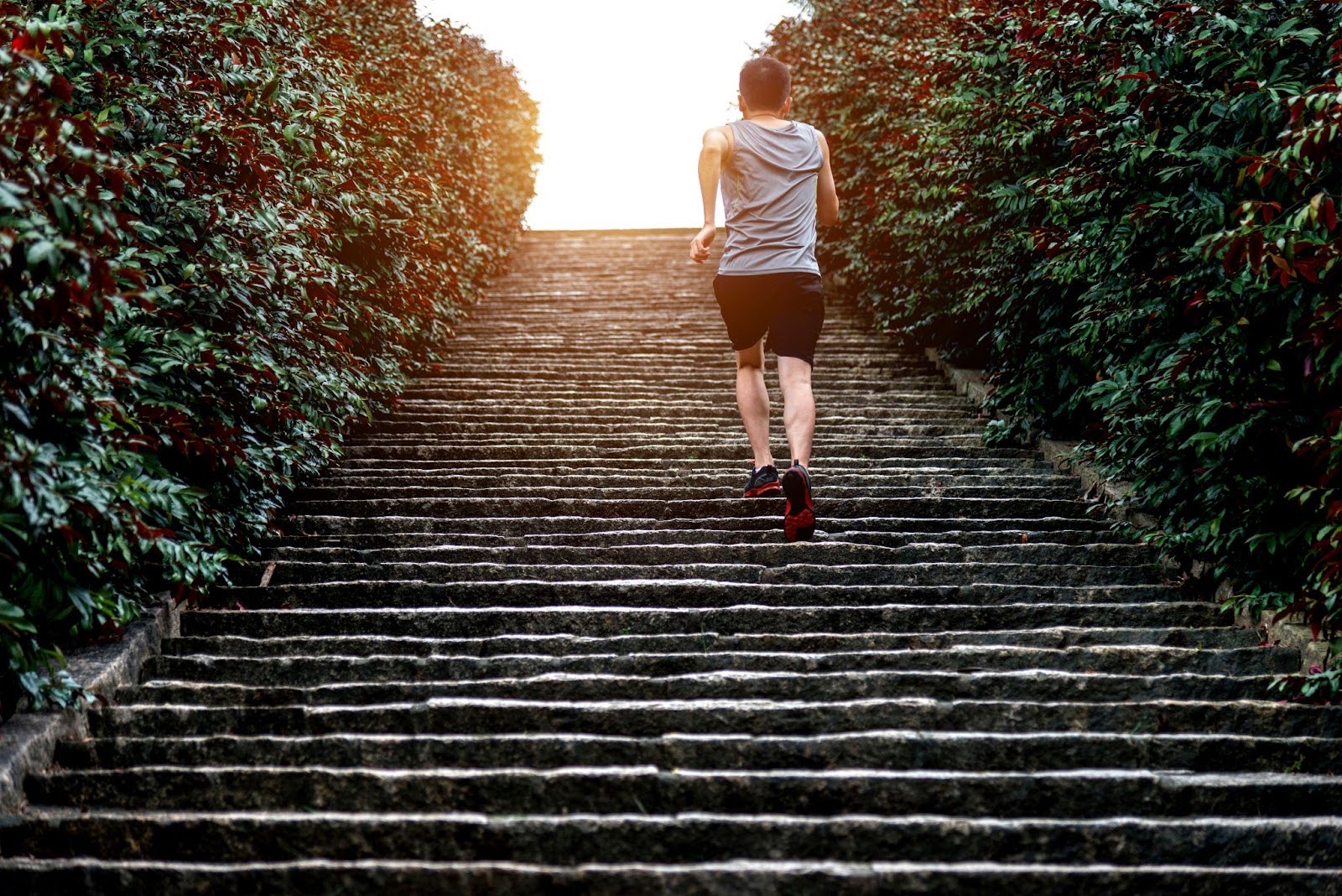 Fit man hiking up a large amount of steps in a natural setting